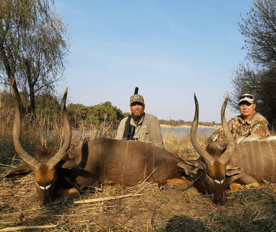 hunt nyala in limpopo with KenOutdoors