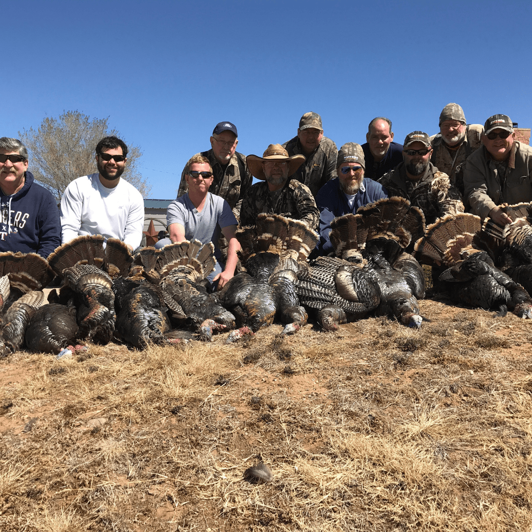 hunt Texas Panhandle rio grande turkeys with KenOutdoors