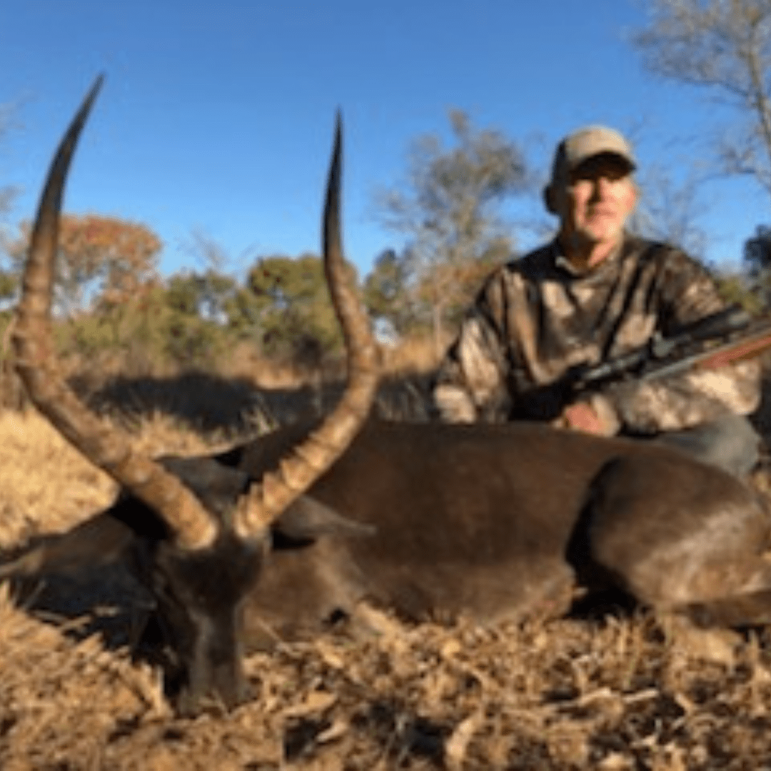 hunt plains game in Limpopo with KenOutdoors