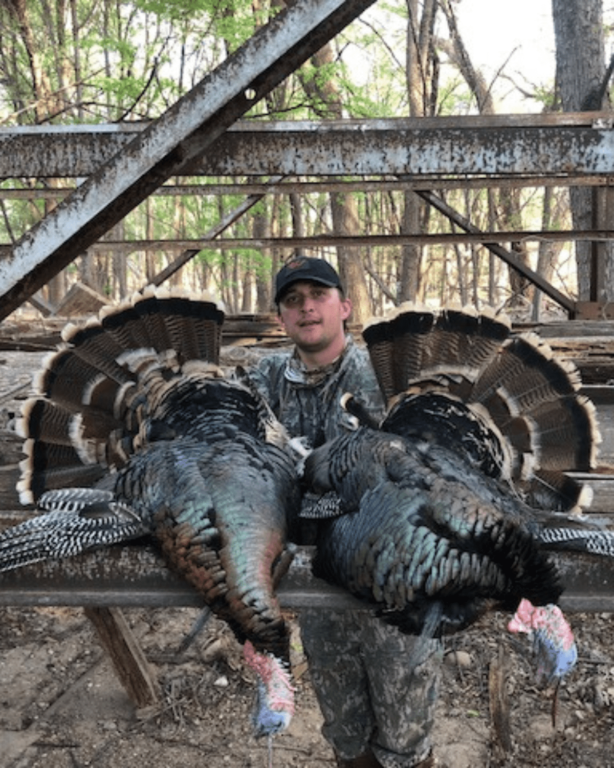 hunt Texas Panhandle rio grande turkeys with KenOutdoors