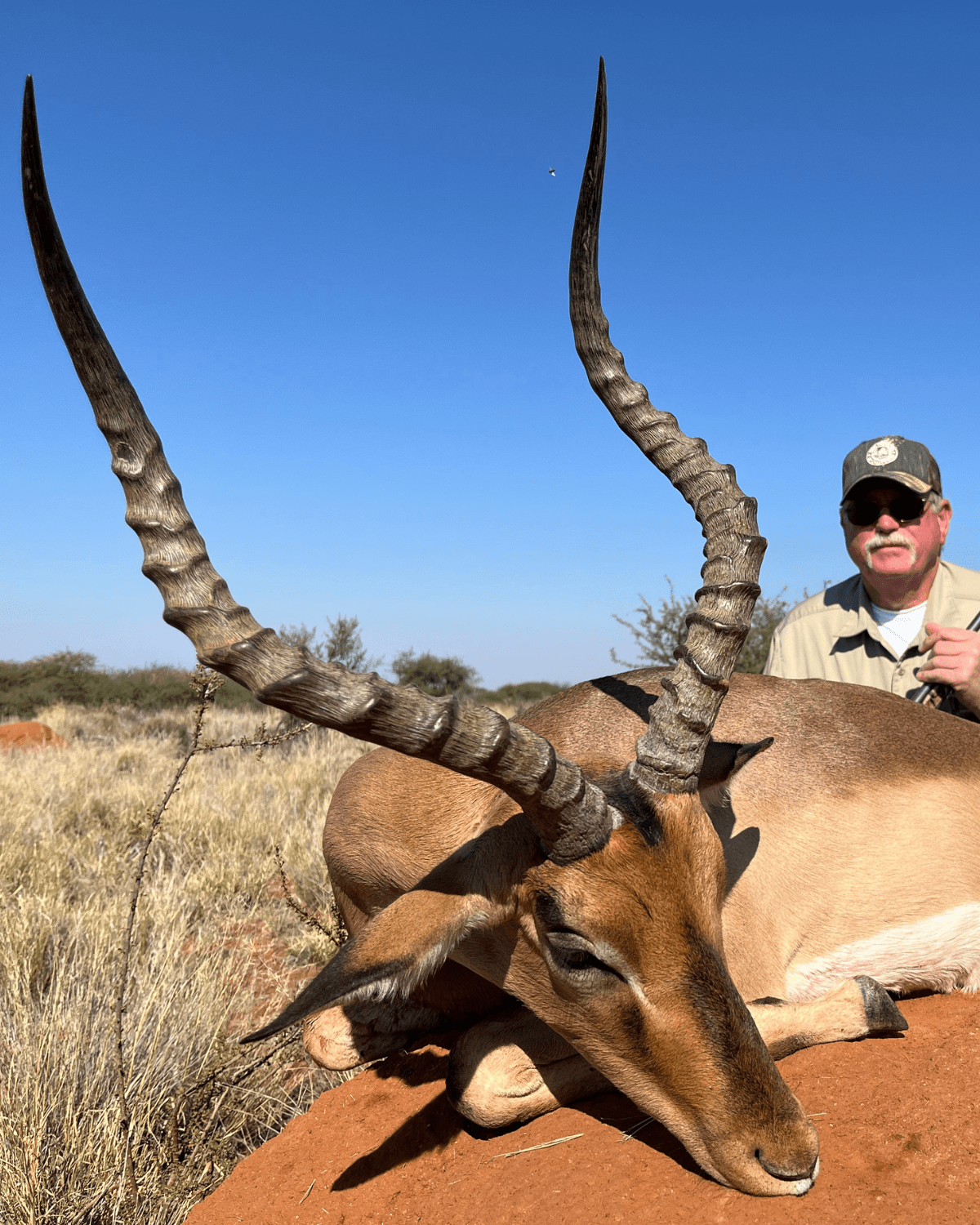 hunt south africa for plains game with KenOutdoors