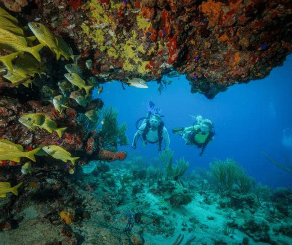 diving the sea of cortez with a PADI 5-Star Resort