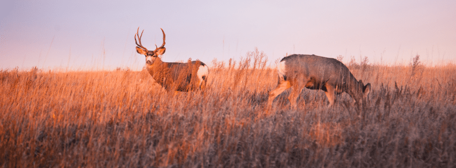 kenoutdoors KenOutdoors let us sell your unsold hunts