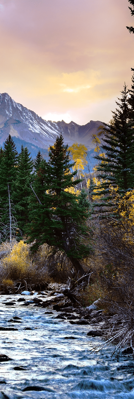 saskatchewan trophy whitetail trophy black bear hunts canadian