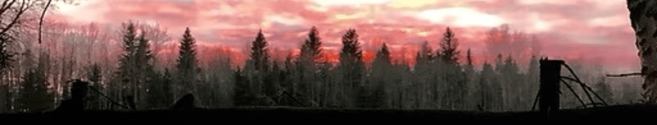 saskatchewan trophy whitetail trophy black bear hunts canadian