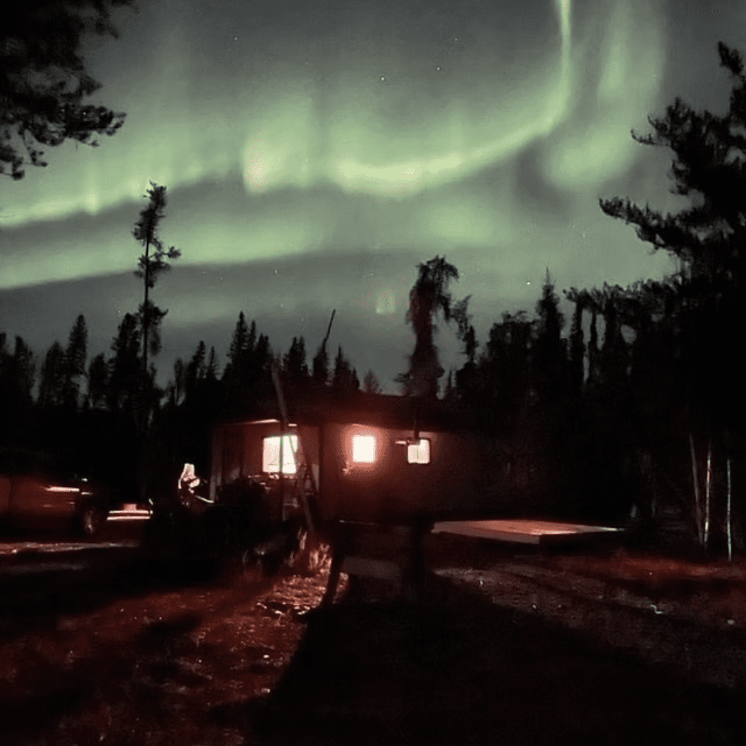 saskatchewan trophy whitetail trophy black bear hunts canadian